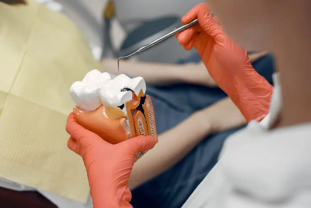 dentist with apricot colored gloves holding a dental utensil and fake teeth